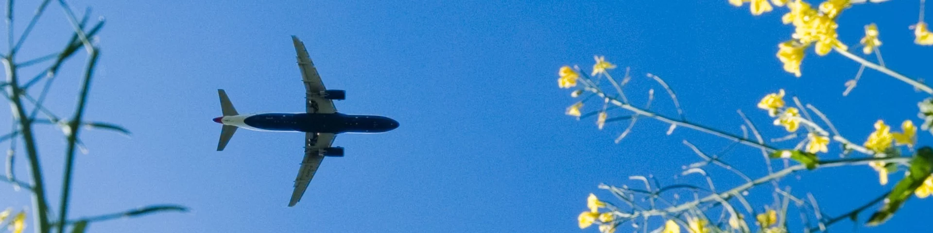 Strategisch omgevingsmanagement Luchtvaart