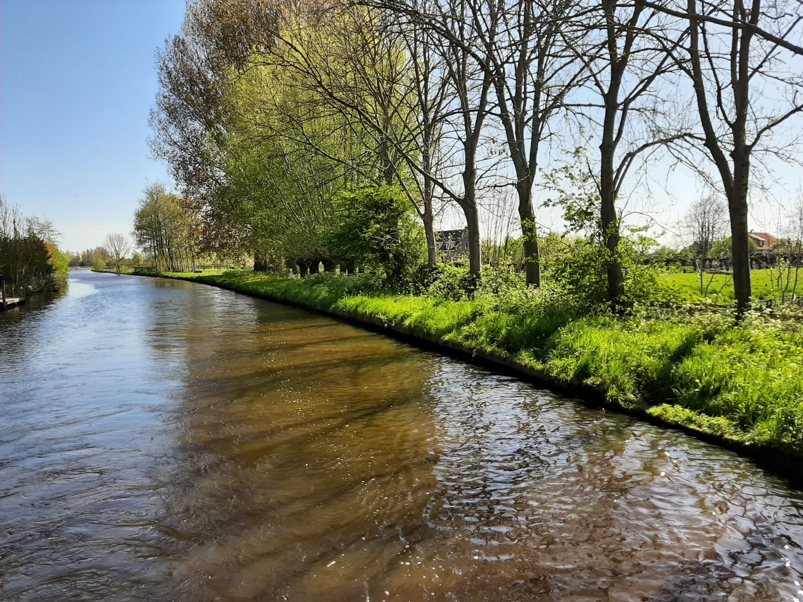 Samen de KRW‑doelen dichterbij brengen 