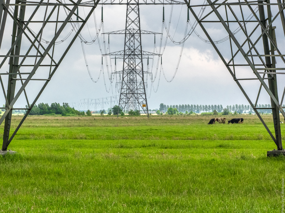 Inzicht en structuur voor de netversterking Hoeksche Waard  